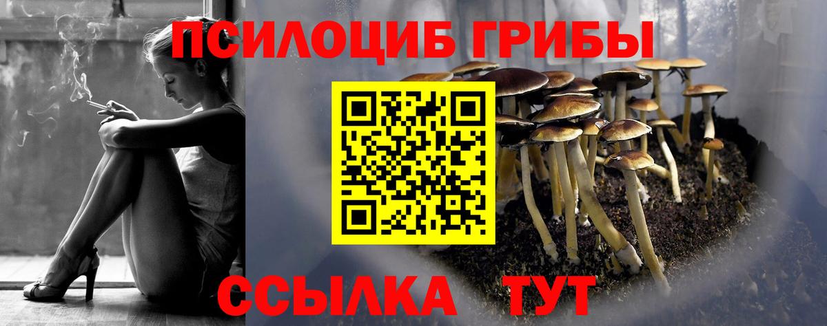 Галлюциногенные грибы Psilocybe  Псилоцибиновые грибы прущие грибы  Вход с VPN  Мценск 